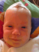 jonas_15102006.png
