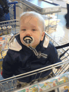 Niklas Shopping.png