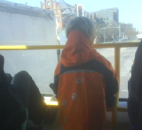 nik_doppeldecker.jpg